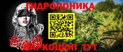 гашиш Гатчина