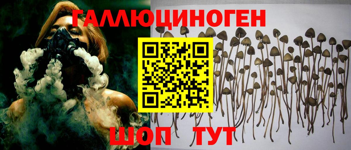Галлюциногенные грибы прущие грибы  Галлюциногенные грибы Psilocybe  Нижнекамск  Вход с VPN 